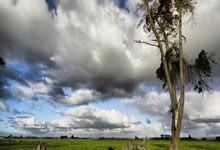 01-02赛季NBA全明星赛.:C7娱乐