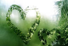 01-02赛季NBA全明星赛.:C7娱乐