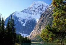 国王与马刺交易 搭次轮+现金送走场均7分侧翼.:C7娱乐