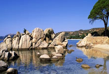 国王与马刺交易 搭次轮+现金送走场均7分侧翼.:C7娱乐